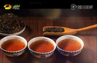 潤元昌柑普茶 湖南廣電茶頻道傾情推薦，品味地道茶香